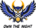 Night Ride Owl three-color vinyl decal original composite: Black, Brilliant Blue, Golden Yellow