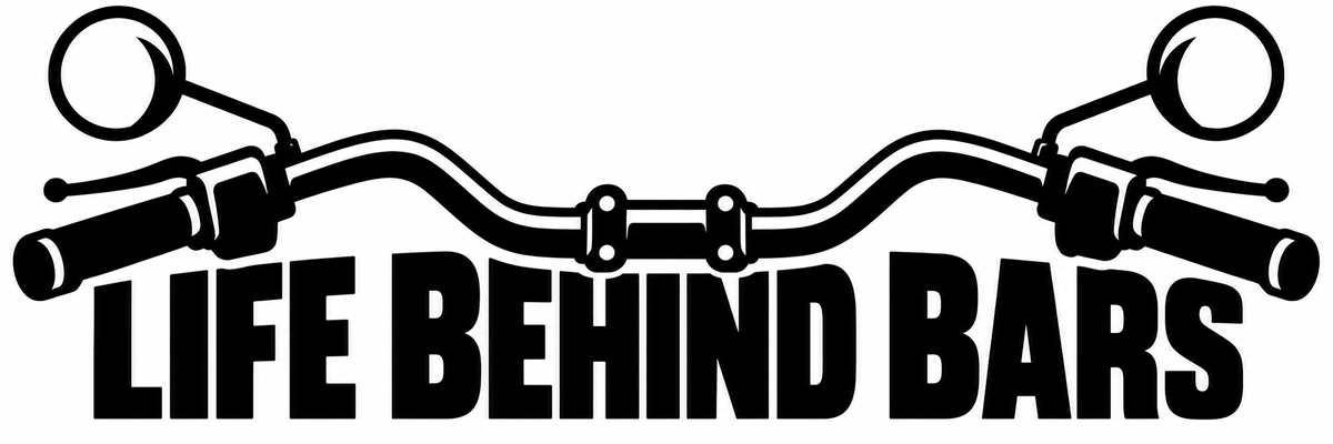 Life Behind Bars vinyl decal artwork