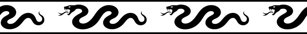 Serpent Glide: 18-inch strip with half patterns at both ends