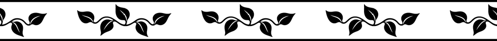 Vineyard Vibe exact 24 inch long by 2 inch high half-pattern production artwork